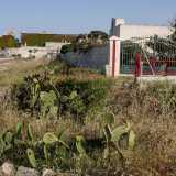 Per visitarla lasciamo l�arenile e ci dirigiamo verso il parcheggio, per imboccare un viale sterrato che costeggia il muro perimetrale della masseria. Troviamo cos� un cancello aperto che ci permette di accedere nel cortile...